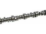 12723516 - : Camshaft for Chevrolet: Silverado 1500 | GMC: Sierra 1500 Image