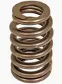 10212811 - Engine: Valve Springs for GM Image