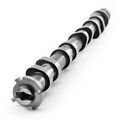 28290130 - : Engine Exhaust Camshaft for Buick: Envision, Regal, Regal Sportback, Regal TourX | Cadillac: ATS, CT6, CTS | Chevrolet: Camaro, Equinox, Malibu, Traverse | GMC: Terrain Image