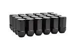 85105299 - Wheels: Wheel Locks and Lug Nuts Kit - Black for GM Image