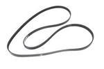 12677093 - : V-Ribbed Serpentine Belt for Chevrolet: Colorado | GMC: Canyon Image