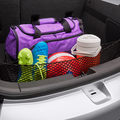19244300 - : Cargo Area Net for Chevrolet: Volt Image