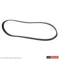 GB5Z8620B - Maintenance &amp; Lubrication: Serpentine Belt for Ford: Explorer, Police Interceptor Utility Image