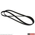 4R3Z8620EC - : Serpentine Belt for Ford: Mustang Image