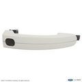 AM5Z1722404JCPTM - Body: Handle, Outside for Ford: C-Max, Escape, Focus Image