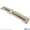 6L3Z1625596A - : Belt Molding for Ford Image