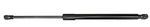 M2DZ7842105A - : Back Glass Lift Support for Ford: Bronco Image
