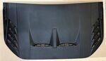 N2DZ16C630AA - : Scoop Assembly Hood for Ford: Bronco Image