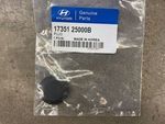 1735125000B - Body: Plug for Hyundai Image