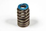 12728729 - Engine: Valve Springs for GM Image