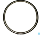 24505057 - Exhaust: Catalytic Converter Seal for Buick: Century, LaCrosse, Regal, Rendezvous, Skylark, Terraza, Verano | Cadillac: CTS | Chevrolet: Captiva Sport, Equinox, Impala, Lumina, Malibu, Monte Carlo, Uplander, Venture | GMC: Terrain | Oldsmobile: Achieva, Alero, Cutlass, Cutlass Supreme, Silhouette | Pontiac: Aztek, G6, Grand Am, Grand Prix, Montana, Solstice, Torrent, Trans Sport | Saturn: Aura, Relay, Sky, Vue Image