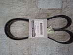 117206CA0B - : Serpentine Belt for Nissan Image