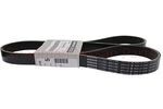 117206RC0E - Cooling System: Serpentine Belt for Nissan Image