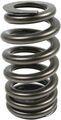 68277306AA - : Performance Valve Springs for MoparPerformance Image