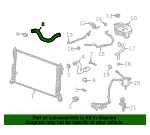Radiator Outlet Hose - GM (85046337)