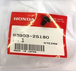                                     Upper Molding Screw
                                