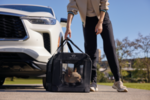T99H16TA1A - : Pet Carrier for Infiniti Image