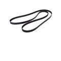 12608660 - : V-Ribbed Serpentine Belt for Buick: Enclave | Chevrolet: Traverse | GMC: Acadia | Saturn: Outlook Image
