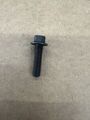 W300006 - : Water Pump Bolt for Ford Image