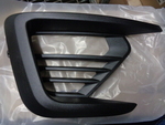 JL1Z15A246AA - : Fog Light Trim for Ford Image