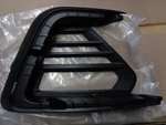 JL1Z15A245BA - : Fog Light Trim for Ford Image