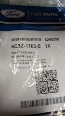 Valve Assembly - Ford (6C3Z-1700-E)