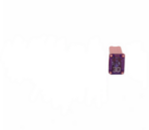 DG9Z14526DA - : Multi-Purpose Fuse for Ford Image