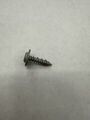 W705228S901 - : Tail Lamp Assembly Screw for Ford: Escape, Ranger | Lincoln: Navigator Image