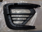 JL1Z15A246BA - : Fog Light Trim for Ford Image