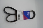 55578115 - : V-Ribbed Serpentine Belt for GM Image