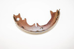 4658060060 - Brakes: Park Brake Shoes for Toyota Image