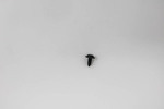9008016099 - Body: Track Cover Bolt for Toyota Image
