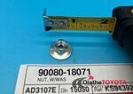 9008018071 - Electrical: Hold Down Clamp Nut for Scion: iQ, tC, xA, xB, xD | Toyota: 4Runner, Avalon, Camry, Celica, Corolla, Echo, GR Corolla, Grand Highlander, Highlander, MR2 Spyder, Prius, Prius Plug-In, RAV4, RAV4 Prime, Sequoia, Sienna, Solara, Tundra, Venza, Yaris Image
