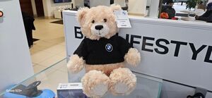 BMW Honey Bear  80-90-5-A78-4B4