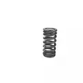 6E109623AD - : Genuine Audi Spring 06E109623AD OEM Engine Timing Spring for Audi Image