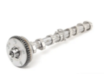6H109021K - : Engine Camshaft for Audi: A3, A3 Quattro, A4, A4 Quattro, A5, A5 Quattro, A6, A6 Quattro, allroad, Q3, Q3 Quattro, Q5, TT, TT Quattro Image