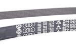 6E903137Q - : Serpentine Belt for Audi: S4, S5 Image